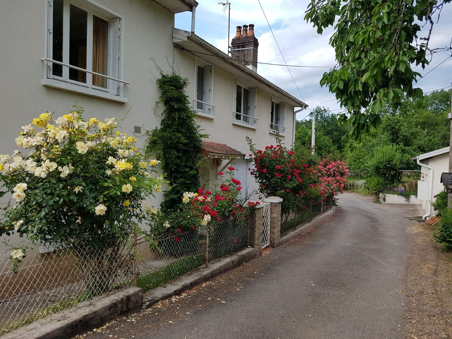 La maison Bellevue de la Creuse et ses rosiers